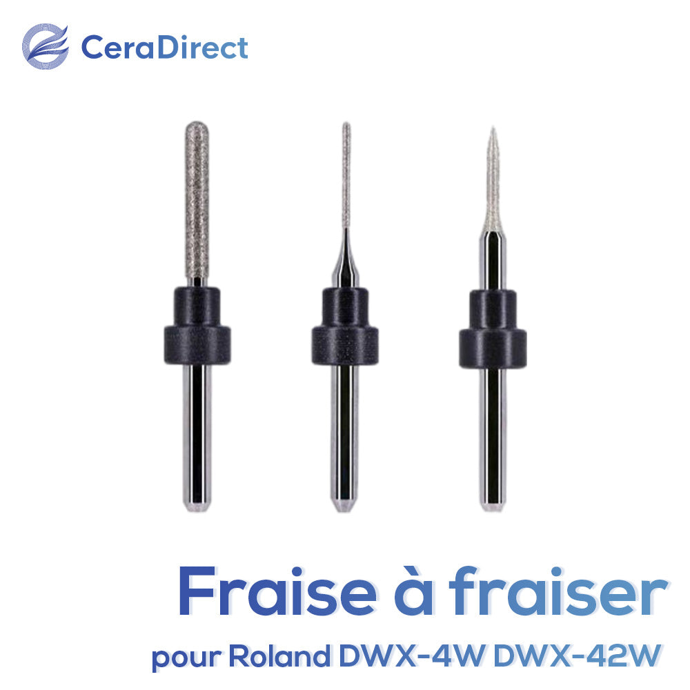 Fraises de fraisage - Roland (DWX-4W DWX-42W) Machine de fraisage