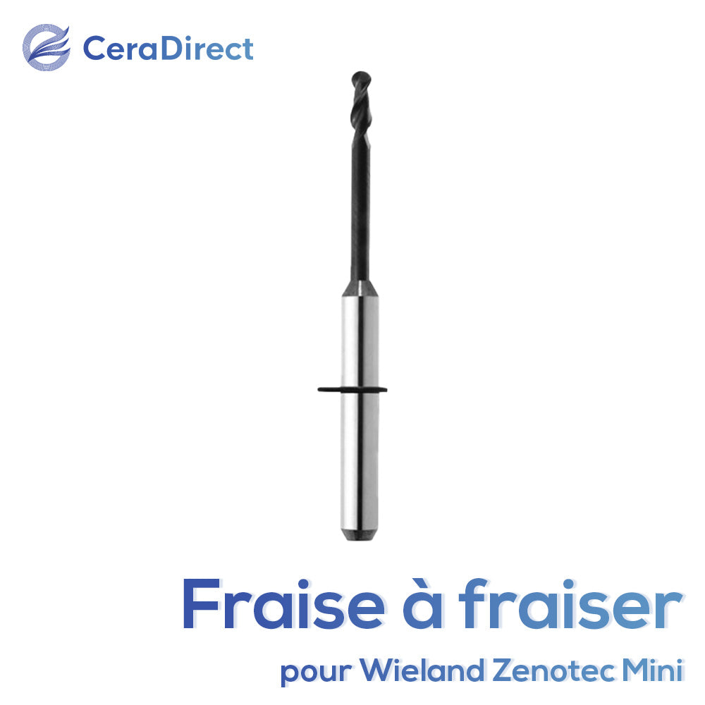 Fraise à fraiser - Wieland (Wieland Zenotec Mini) machine de fraisage